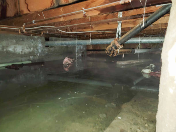 Best 24/7 water damage repair  in Marin City, CA