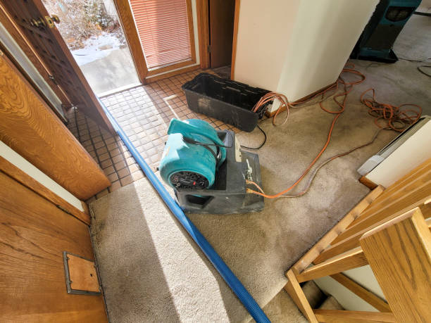 Best Water damage restoration near me  in Marin City, CA
