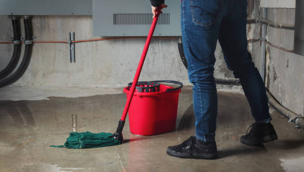 Best Basement water damage restoration  in Marin City, CA
