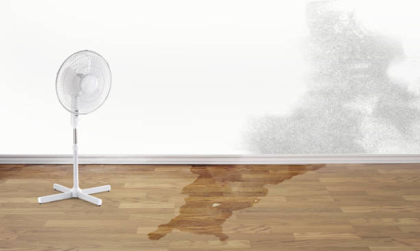 Best Emergency water damage restoration  in Marin City, CA