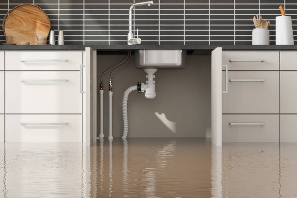 Best Local water damage restoration  in Marin City, CA
