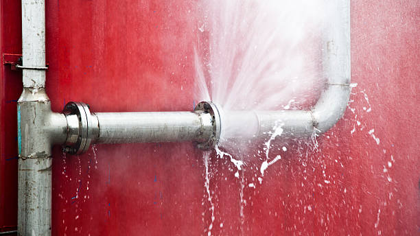 Best Flood damage cleanup  in Marin City, CA