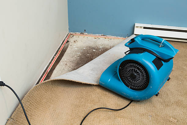 Best Fire Damage Restoration  in Marin City, CA
