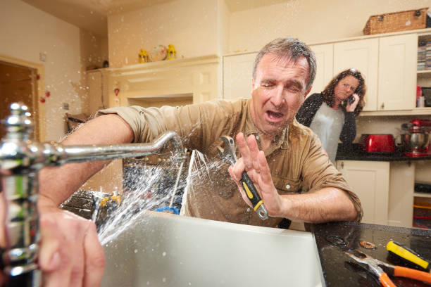 Best Flooded house restoration  in Marin City, CA